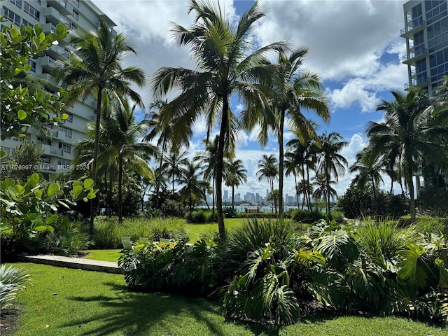 surrounding community featuring a lawn