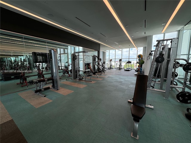 exercise room featuring carpet flooring and floor to ceiling windows