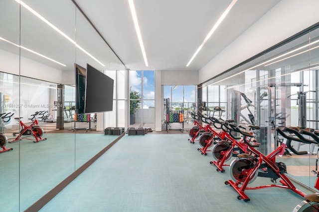 workout area with carpet flooring and a wall of windows