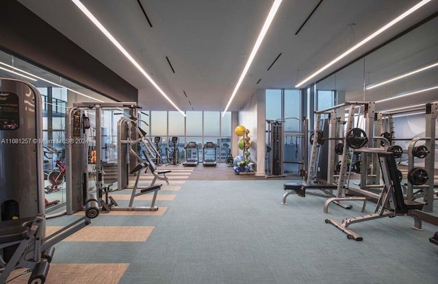 exercise room featuring expansive windows, a wealth of natural light, and carpet floors