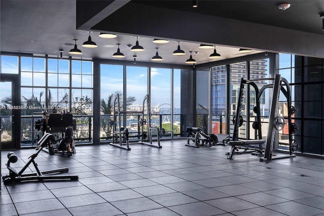 exercise room with floor to ceiling windows and a wealth of natural light