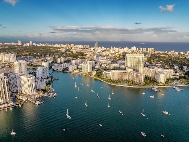 bird's eye view with a water view