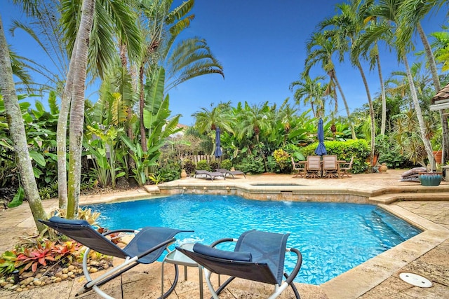 view of pool featuring a patio and pool water feature