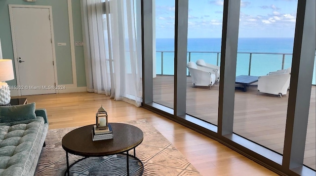 living room with light hardwood / wood-style flooring and a water view