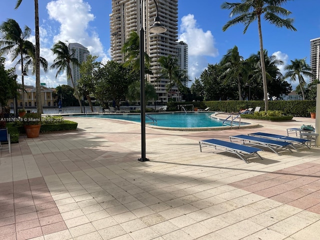 view of pool featuring a patio