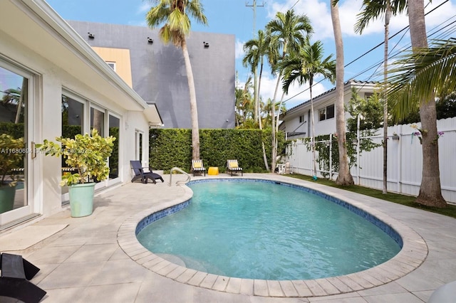 view of swimming pool with a patio