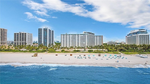 view of water feature featuring a beach view