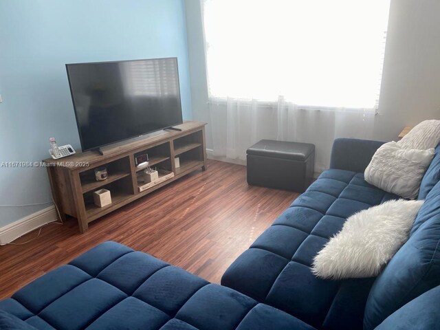 living room with wood-type flooring