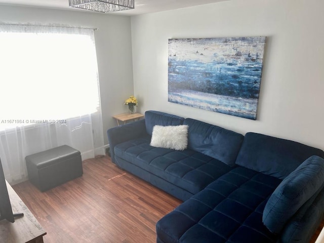 living room featuring wood-type flooring