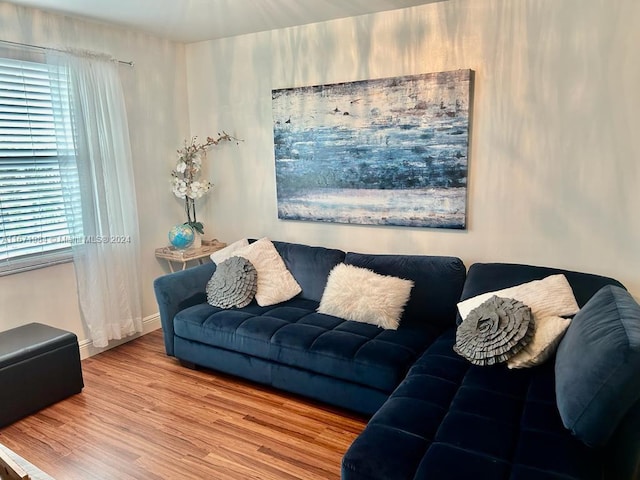 living room with hardwood / wood-style flooring