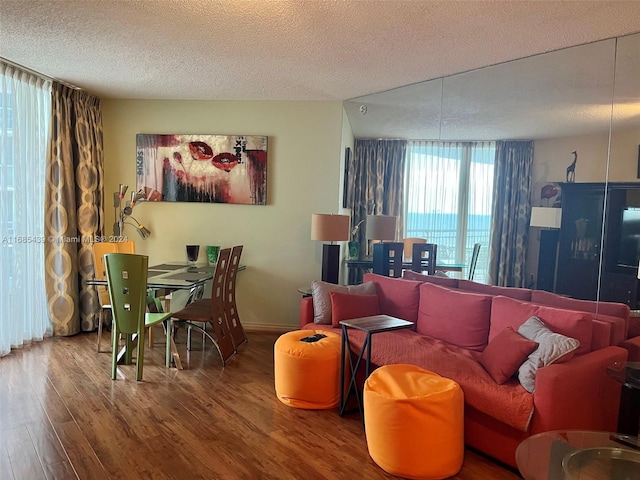 living room with hardwood / wood-style flooring and a textured ceiling