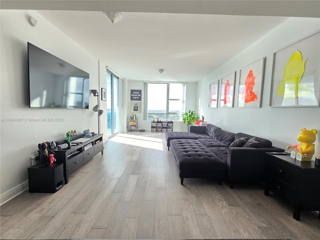 living room with light hardwood / wood-style flooring