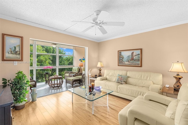 living room with ceiling fan, light hardwood / wood-style floors, a textured ceiling, and ornamental molding