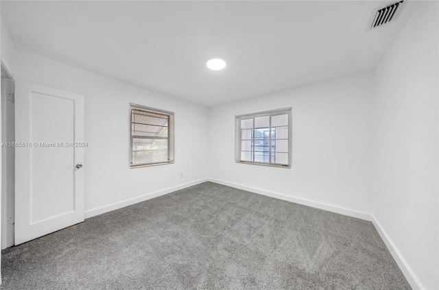 spare room with carpet flooring and a wealth of natural light