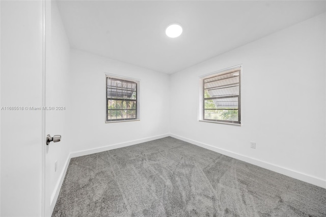 carpeted spare room featuring a wealth of natural light