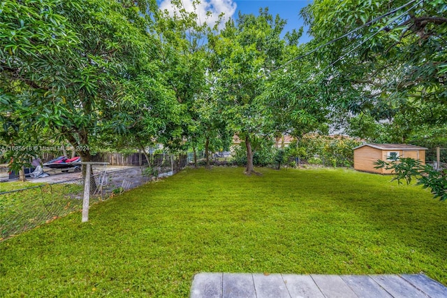 view of yard with a shed