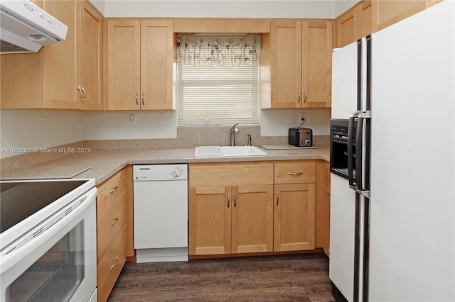 kitchen featuring light brown cabinets, dark hardwood / wood-style flooring, sink, ventilation hood, and white appliances