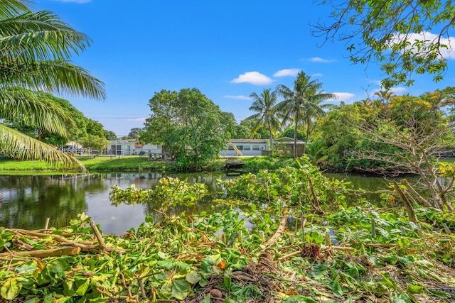 property view of water