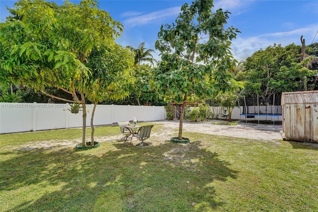 view of yard featuring a trampoline