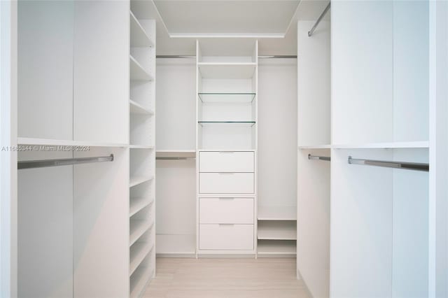 walk in closet with light wood-type flooring