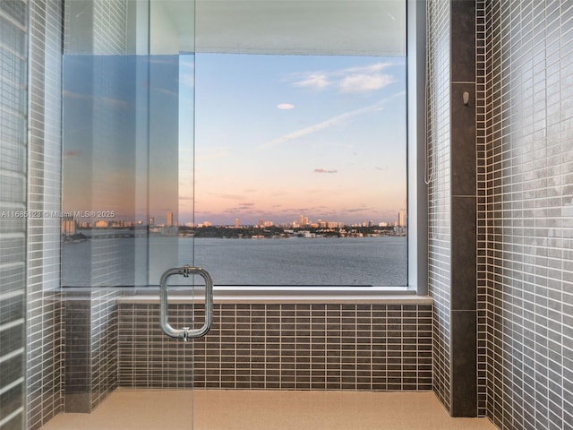 water view