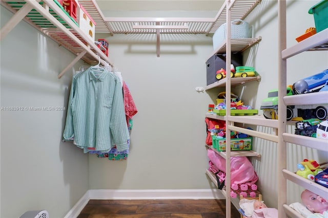 view of walk in closet