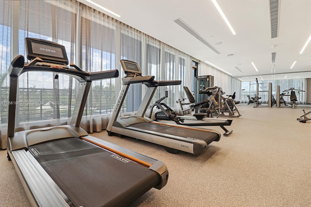 workout area featuring expansive windows