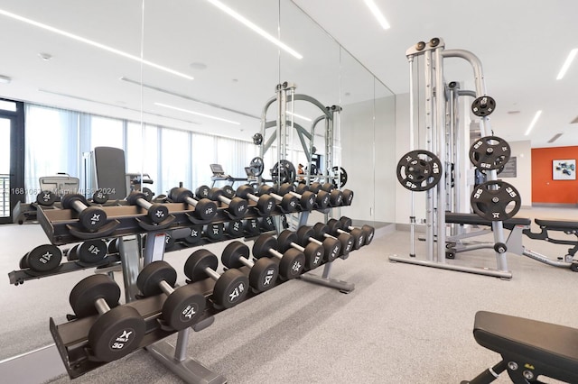 exercise room with carpet