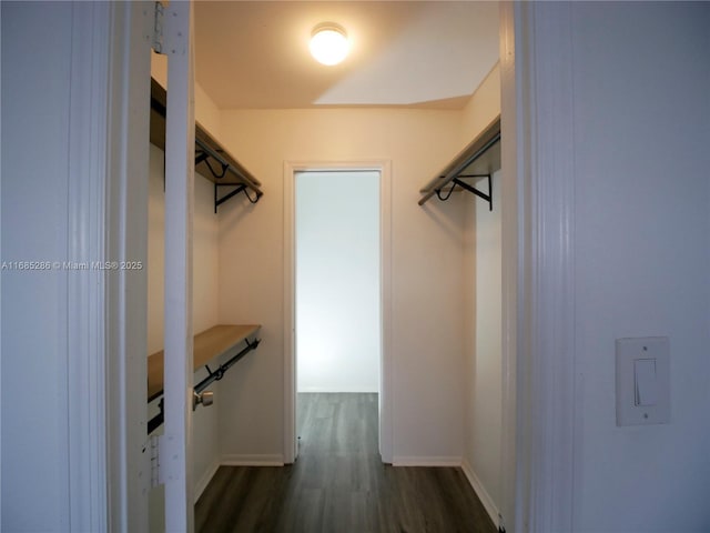 walk in closet featuring dark wood finished floors