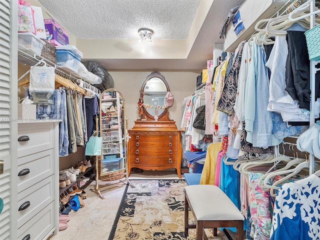 view of walk in closet