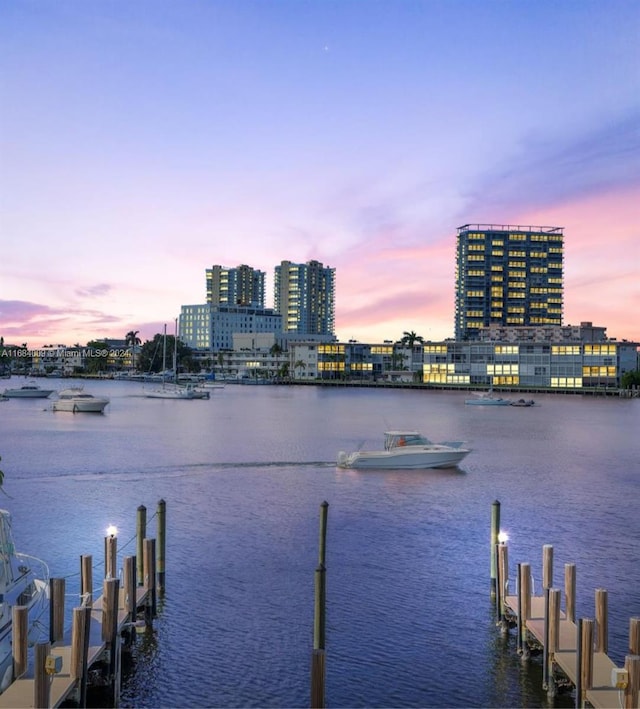 property view of water with a boat dock