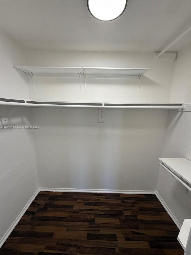 spacious closet with dark hardwood / wood-style flooring