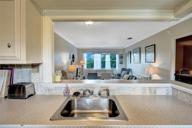 kitchen with tasteful backsplash, ornamental molding, and sink