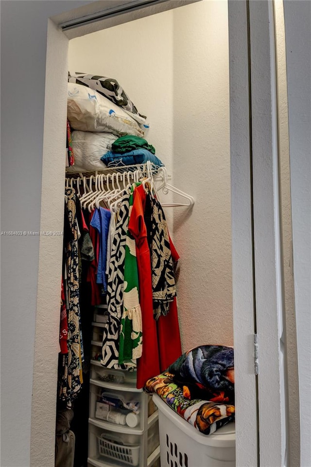 view of closet