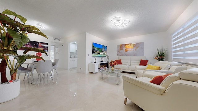 living room featuring a textured ceiling