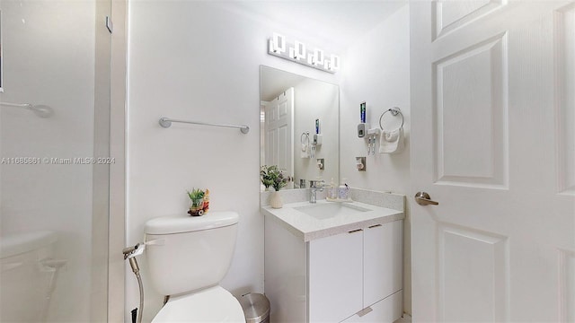 bathroom with toilet and vanity