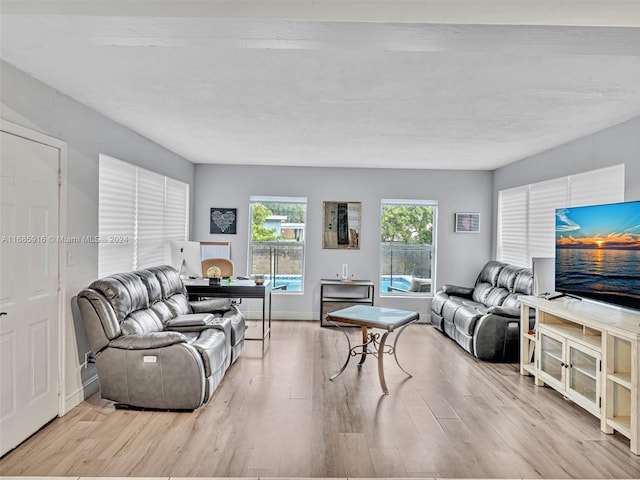 living room with light hardwood / wood-style floors