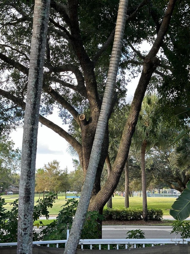 view of property's community featuring a yard