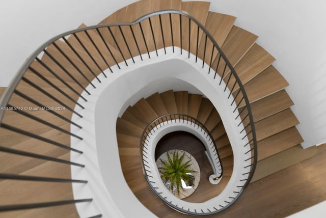 stairway with wood-type flooring