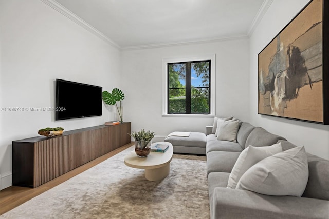 living room with light hardwood / wood-style flooring and ornamental molding