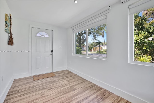 foyer entrance with light hardwood / wood-style flooring