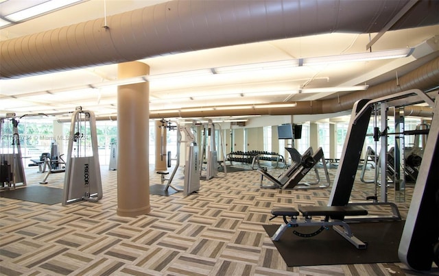 workout area featuring carpet