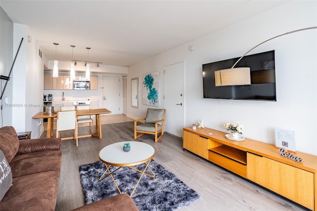 living room with light hardwood / wood-style floors and sink