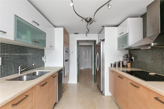 kitchen with sink, white cabinets, wall chimney exhaust hood, and appliances with stainless steel finishes