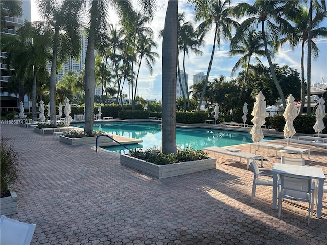 view of pool with a patio area