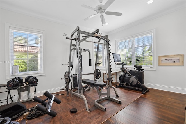 exercise room with plenty of natural light, ceiling fan, ornamental molding, and dark wood-type flooring