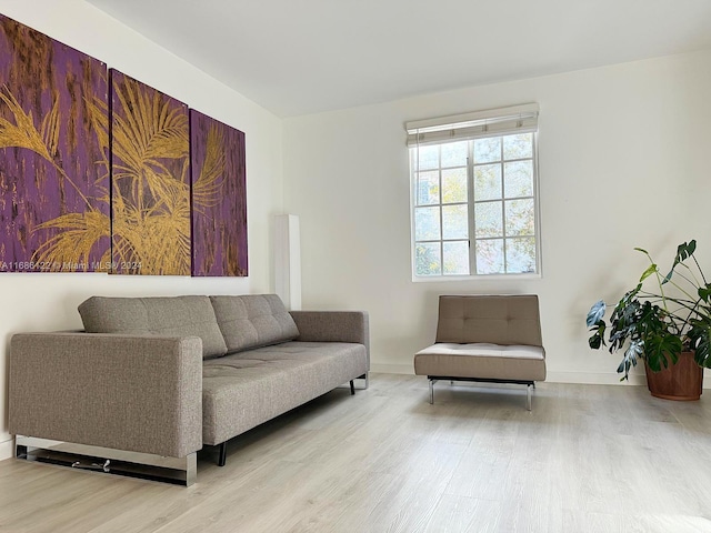 living room featuring light wood-type flooring