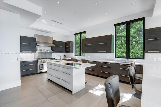 kitchen with a kitchen island with sink, wall chimney exhaust hood, dark brown cabinets, stainless steel stove, and sink