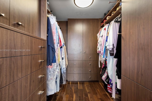 walk in closet featuring dark wood-type flooring