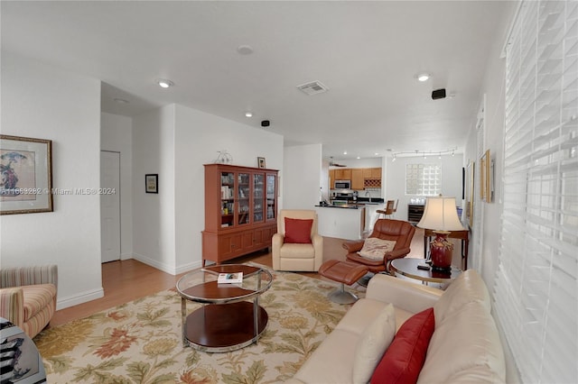 living room featuring light wood-type flooring